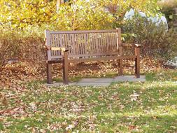 Park Bench and dry leaves