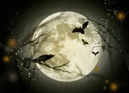 Beautiful, flying bats and crow on the tree, at bright Moon on background, at the night, clipart