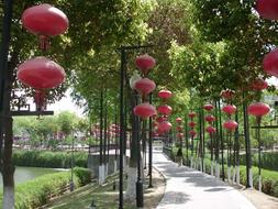 Beautiful red lanterns, among the green plants in Nanjing, China