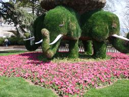 Xuanwu Lake Elephants Trees art