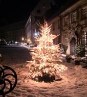 illuminated Christmas Tree at Night