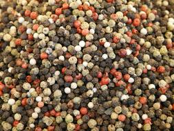 Pepper Colorful red black white