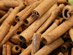 Cinnamon, pile of Dried Sticks
