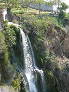 Beautiful waterfall on the cliffs, with the colorful plants and murmur