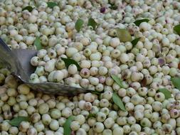 Olives White market