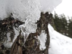 Icicle on snow close up