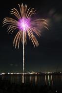 Palm Fireworks
