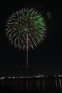 Green Flowers Fireworks at night