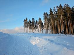 Beautiful landscape of the road in snow, near the beautiful trees, in the winter, under the blue sky with clouds