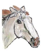 horse head drawing at white background