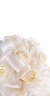 white Rosa Flowers bouquet