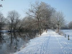 river, trees, snowy road