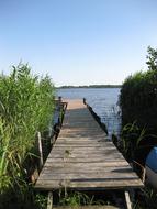 wooden bridge on the lake among green plants