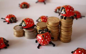 Ladybugs on Euro Coins