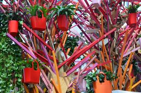 red Bags on Shopping Tree