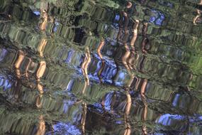 Water Reflections Mirroring