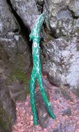 branch in green paint near the stone