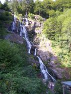 Beautiful landscape of the Todtnauer Waterfalls among the green plants in Germany