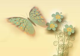 butterfly flowers decoration clipart