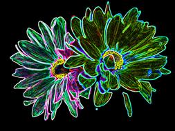 flowers neon green blue yellow