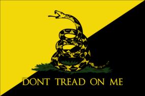 flag, snake, dont tread on me