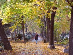 Autumn Cemetery