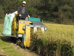 Organic Rice harvest Combine