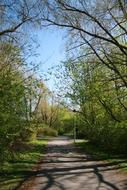 Path Walkway Scenic