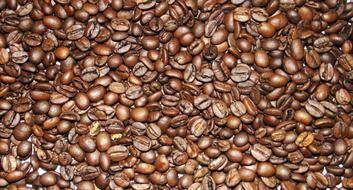 Coffee Beans