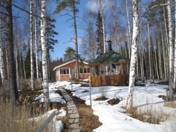 Mikkeli Finland snow forest