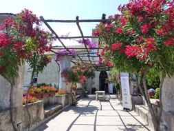 garden Ravello Is Beautiful