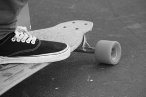 foot on skateboard in black white background