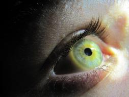 green human eye close up