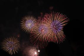 colorful Fireworks at night