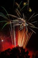 Colorful fireworks above the silhouettes of the trees, in Stuttgart, Germany, at the night