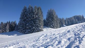 Allgau Greened mountain at Winter