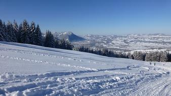 Allgau Greened nature at Winter