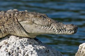 Biscayne National Park Florida