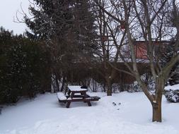 Winter Rest at Garden