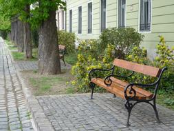 Pavement path, with the benches and colorful plants, near the building