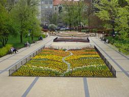 spring flowers in the center of the park