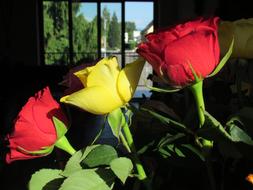 Red And Yellow Roses Bouquet