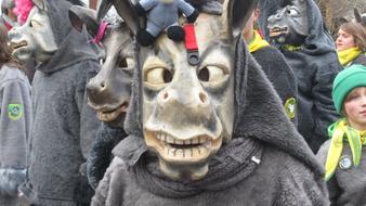 animal masks at carnival