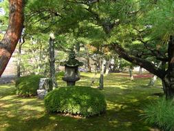 beautiful Japanese Garden at autumn