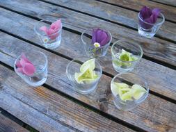 Close-up of the colorful and beautiful flowers in the transparent glasses with water, on the wooden surface