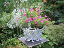 a pot of flowers on a table in the yard