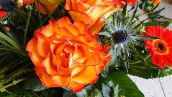 red Rose Flowers Strauss