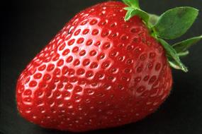 Sweet Red Strawberry closeup