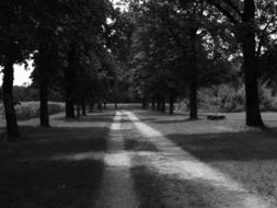 Black And White photo of park path