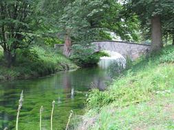 Bridge over River Water in forest